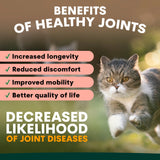 PetzPark Hip & Joint for Cats