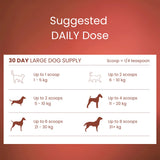 Beef Bone Broth Powder for Dogs & Cats | Joint & Gut Support