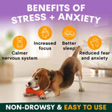 PetzPark Stress & Anxiety for Dogs