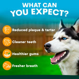 PetzPark Toothpaste for Dogs