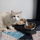 Stainless Steel Pet Bowls Portable Anti Slip Skid Feeder