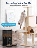 Automatic Digital Pet Feeder Double Food Bowl Dispenser 6L