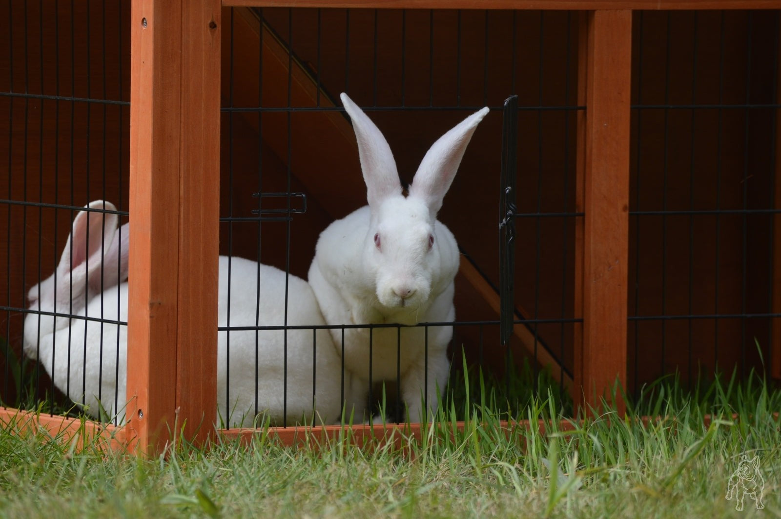 YES4PETS Double Storey Rabbit Hutch