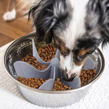 Dog Bowl Slow Feeder Insert 2 Pack