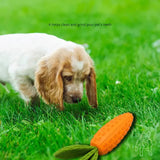 Durable Rubber Carrot Pet Toy