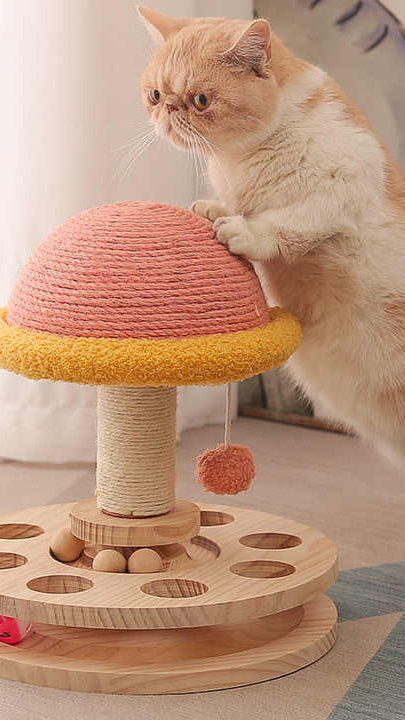 Large Pink Interactive Cat Scratching Post with Ball Track