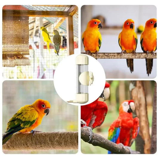 Green Automatic Bird Water Feeder Bottle (200ml) - Leakproof No-Drip Dispenser for Parrots