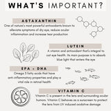 PetzPark Eye Support for Cats