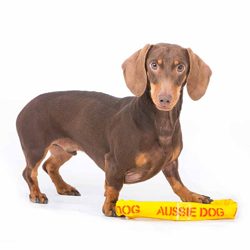 Aussie Dog Pull It Small