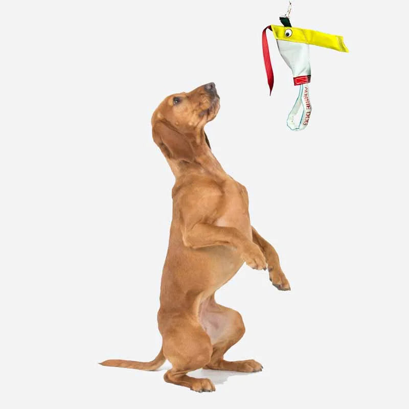 Aussie Dog Bungee Chook Standard