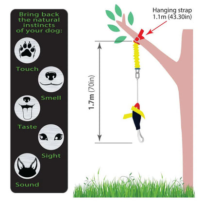 Aussie Dog Bungee Chook Heavy Duty