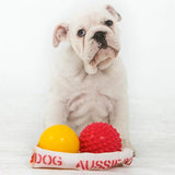 Aussie Dog Puppy Pack Medium