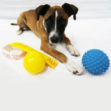 Aussie Dog Puppy Pack Mini