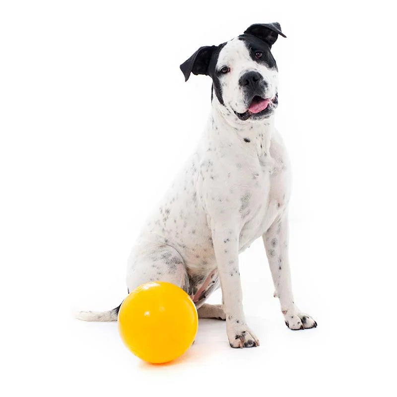 Aussie Dog Tucker Ball
